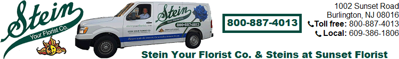 Stein Your Florist Corp